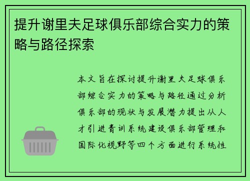 提升谢里夫足球俱乐部综合实力的策略与路径探索 提升谢里夫足球俱乐部综合实力的策略与路径探索