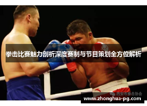 拳击比赛魅力剖析深度赛制与节目策划全方位解析